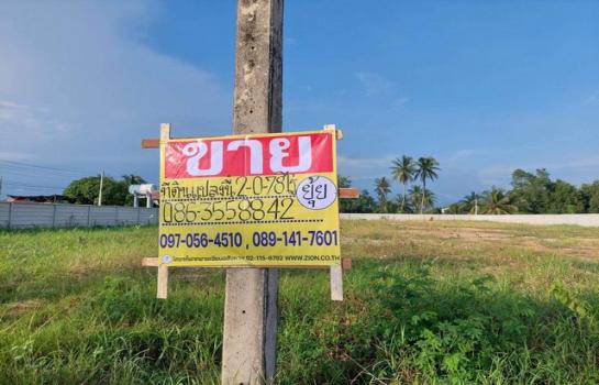 �Ҫ���� �� zionasset1