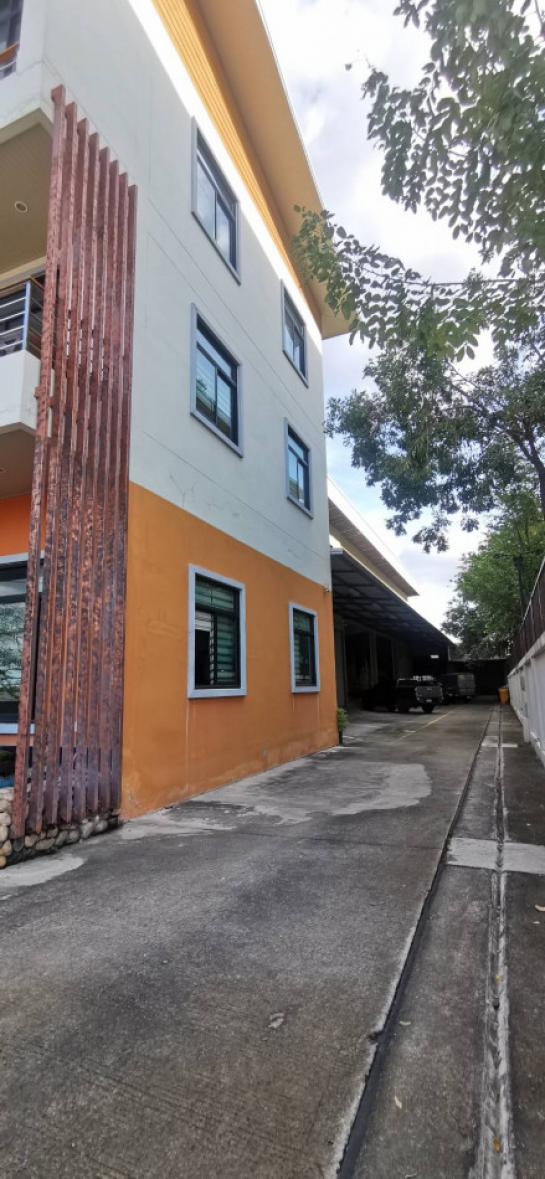 ����ӹѡ�ҹ �ҧ�����طû�ҡ��