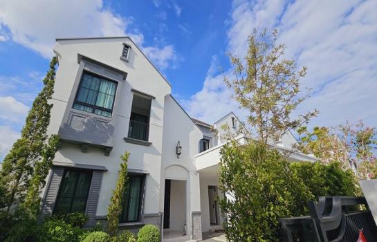 ����оҹ�٧ �� Patkorn