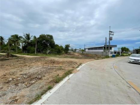 ขายที่ดิน Paradise ขายที่ดิน Paradise