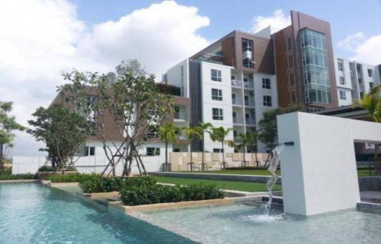 ���ͧ �� �Ң�ѭ �Ź�����