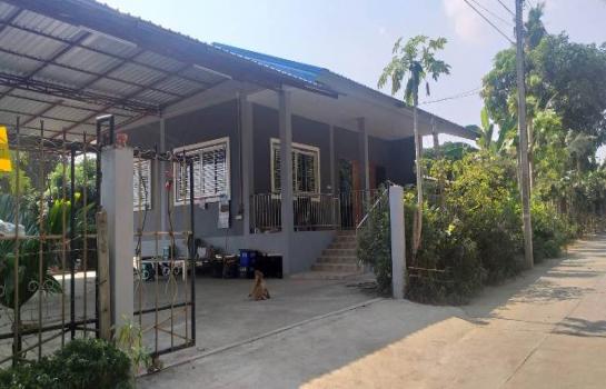 �ҧ�� �� �Ң�ѭ �Ź�����