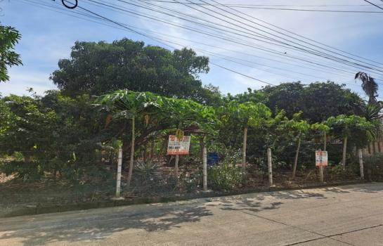 ���Թ �ӹ�