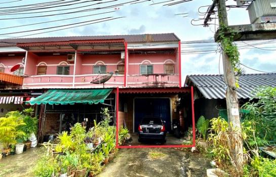 ��ѧ �� compos2566