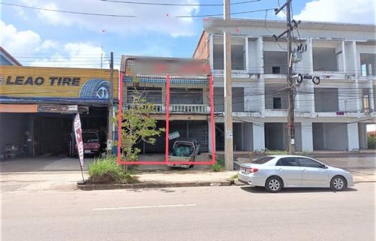 ��µ�ѧ �� panaya.opalopal