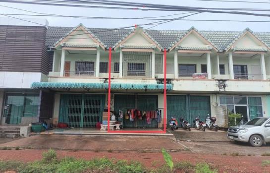 ��ѧ �� compos2566