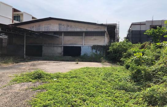 ����ç�ҹ �ҧ��������ا෾