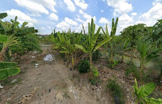 ������ԭ �� HarrisonTH