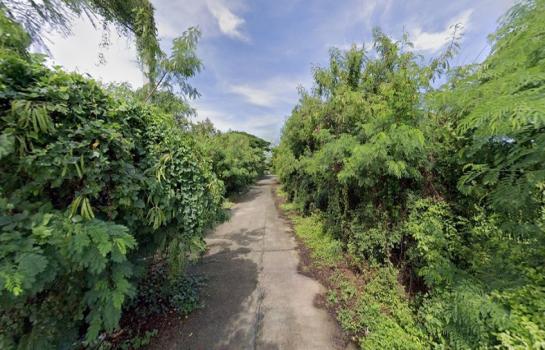 �ҧ�� �� HarrisonTH