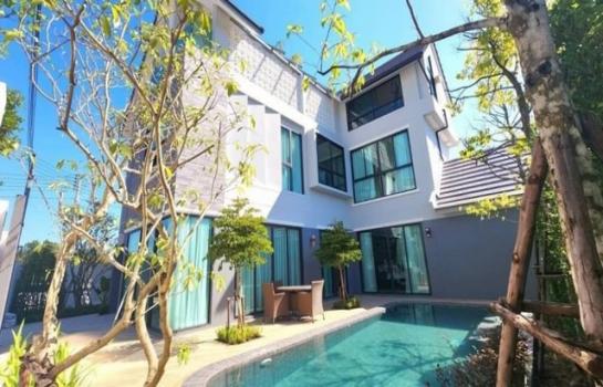 �ѹ���� �� northern1