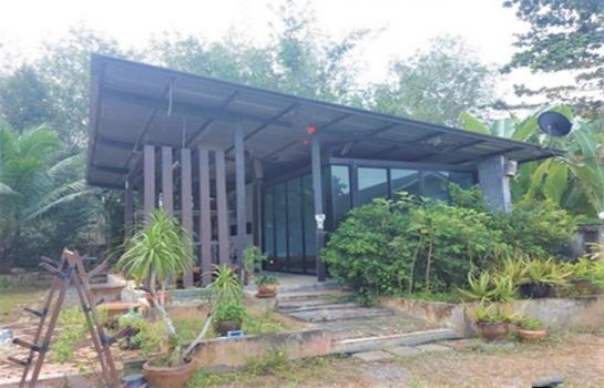 ��ҹ���ʧ �� compos2566