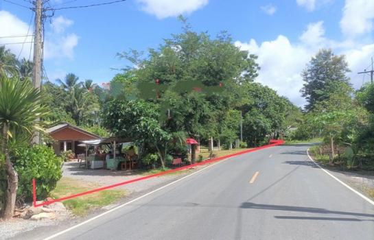 ��ҹ���ʧ �� compos2566