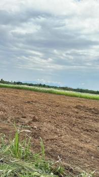 ����Թ �� sopa