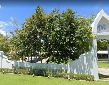 ���� �� incube