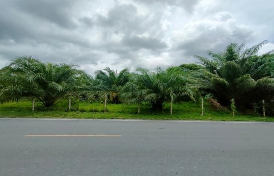 ��ҹ ���ũ�ҧ �����ո����Ҫ