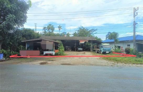 ��ҹ ���ũ�ҧ �����ո����Ҫ