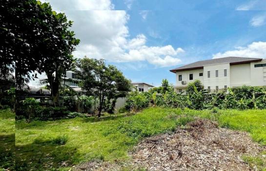 ����Ѳ�� �� Sararat_dai