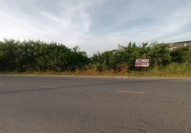 ���Թ����͹���Ф��� �ҧ��Ҹ�