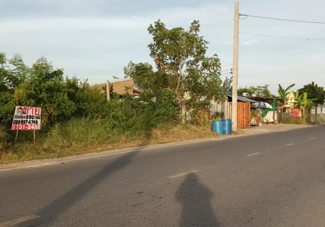 ���Թ��鹷�������� �ҧ��Ҹ�