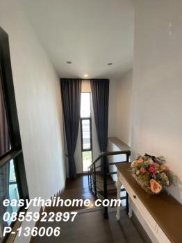 �͹�����ͧ�ѡ��� ������