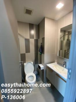 �͹��ç���¹�ҹҪҵ� ������