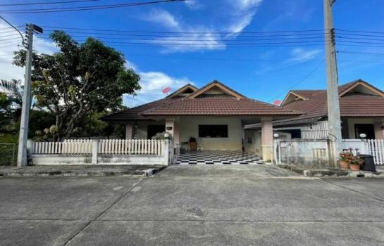 �ҧ�� �� northern1