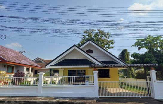 ������ �� �Ң�ѭ �Ź�����