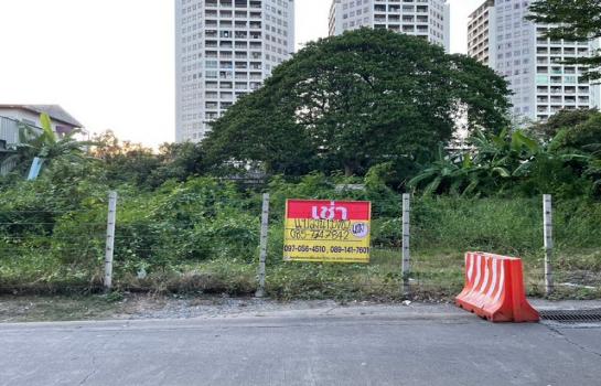 �ҧ�л� �� zionasset1