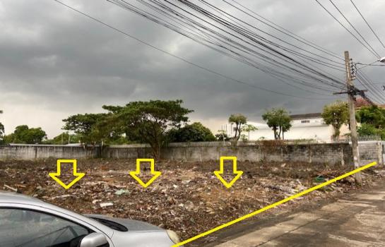 ���⡴ѧ ������