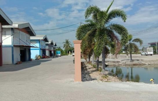 �����ҹ� �� AssetD4U