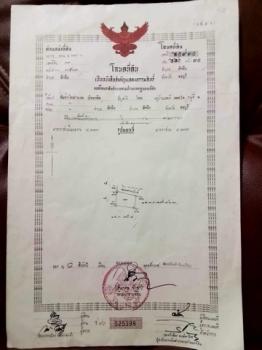 �ѵ�պ �� sopa