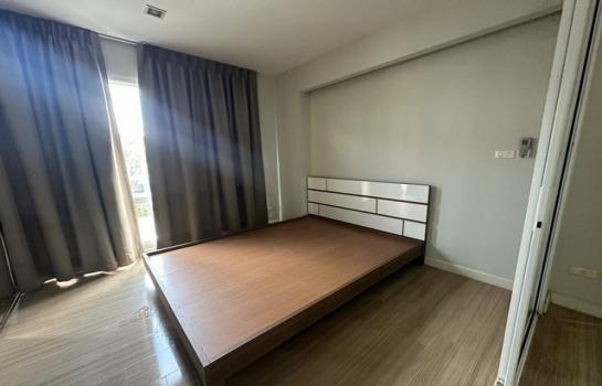 �͹����ͧ ���ͧ