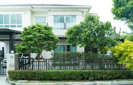 �оҹ�٧ �� kantapon4