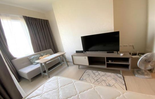 �͹ⴾ�������� ���¢�ҧ