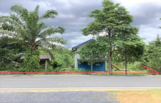 ��ҹ ���ŹҺ͹ �����ո����Ҫ