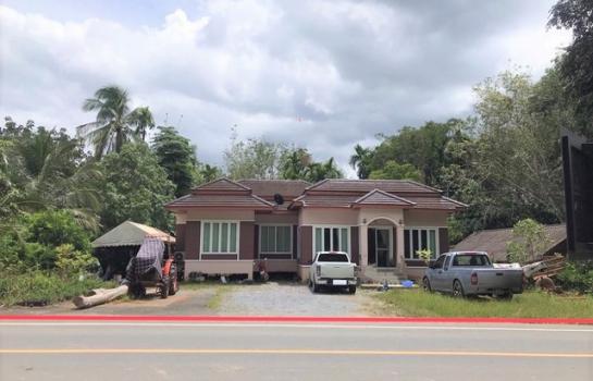 ��¹����ո����Ҫ �� panaya.opalopal