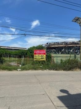 �ҧ�� �� zionasset1