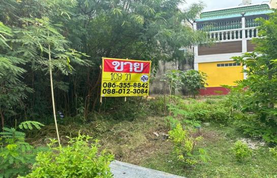 �ҧࢹ �� zionasset1