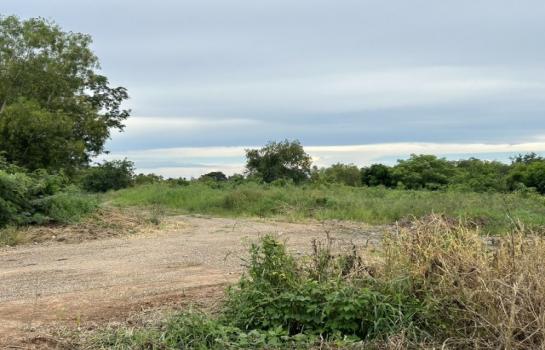 �����к��� �� pazarestate1