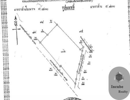 ��ªź��� �� incube