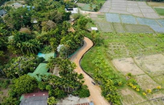 �ѹ���� �� northern1