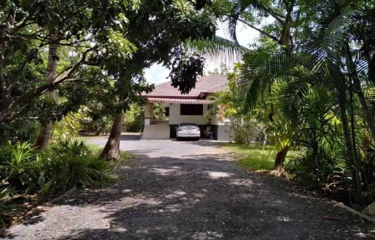 ����� �� Parkwan