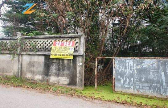 ����Ѳ�� �� zionasset1