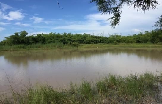 �ҭ������ �� sopa