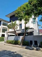 ��ҹ ������