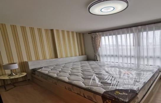 �͹� ʧ���