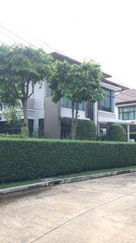 �ҧ� �� kantapon4