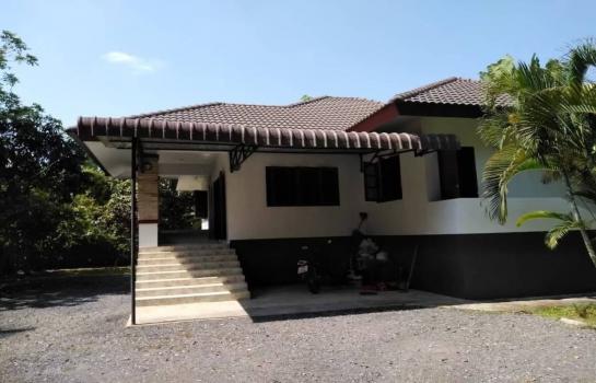 ��ҹ����� �� Sawasdee