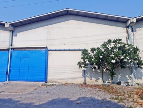 �ҧ�͹ �� Kong property