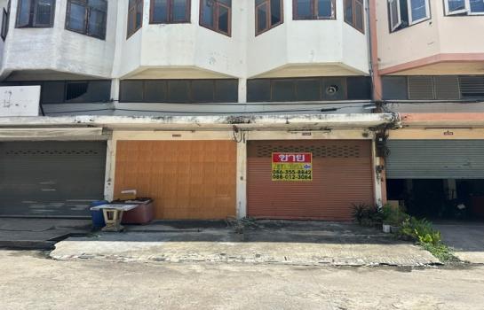 �ѭ���� �� zionasset1